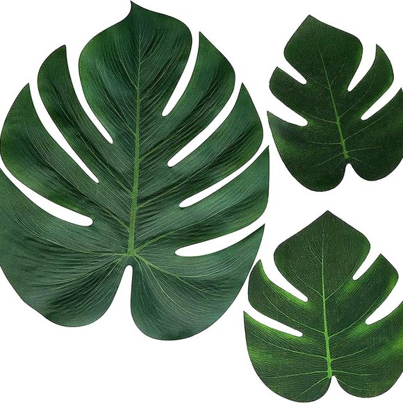 10 Tropical Palm Leaves Plant - Picture 3 of 7